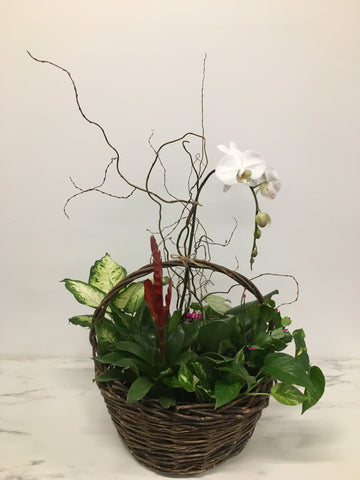 Planter with Blooming Plants