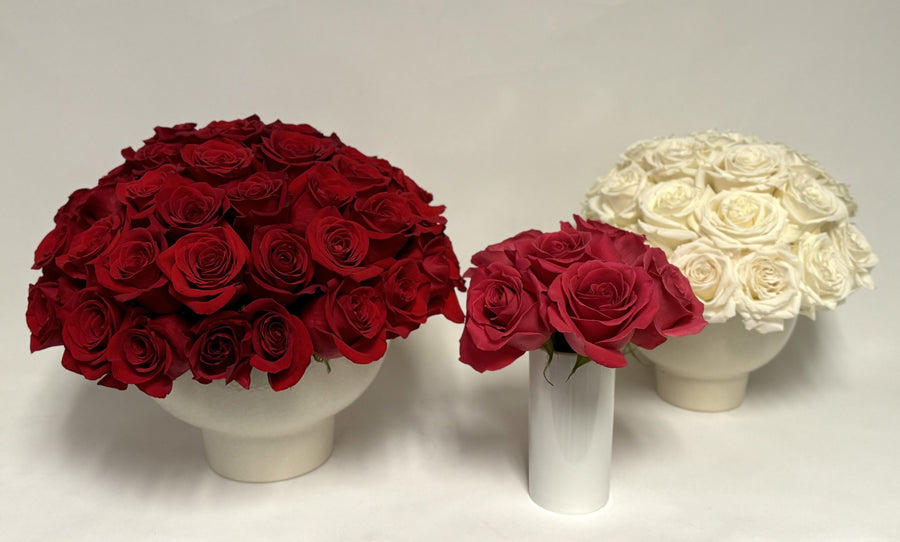 Simply Roses