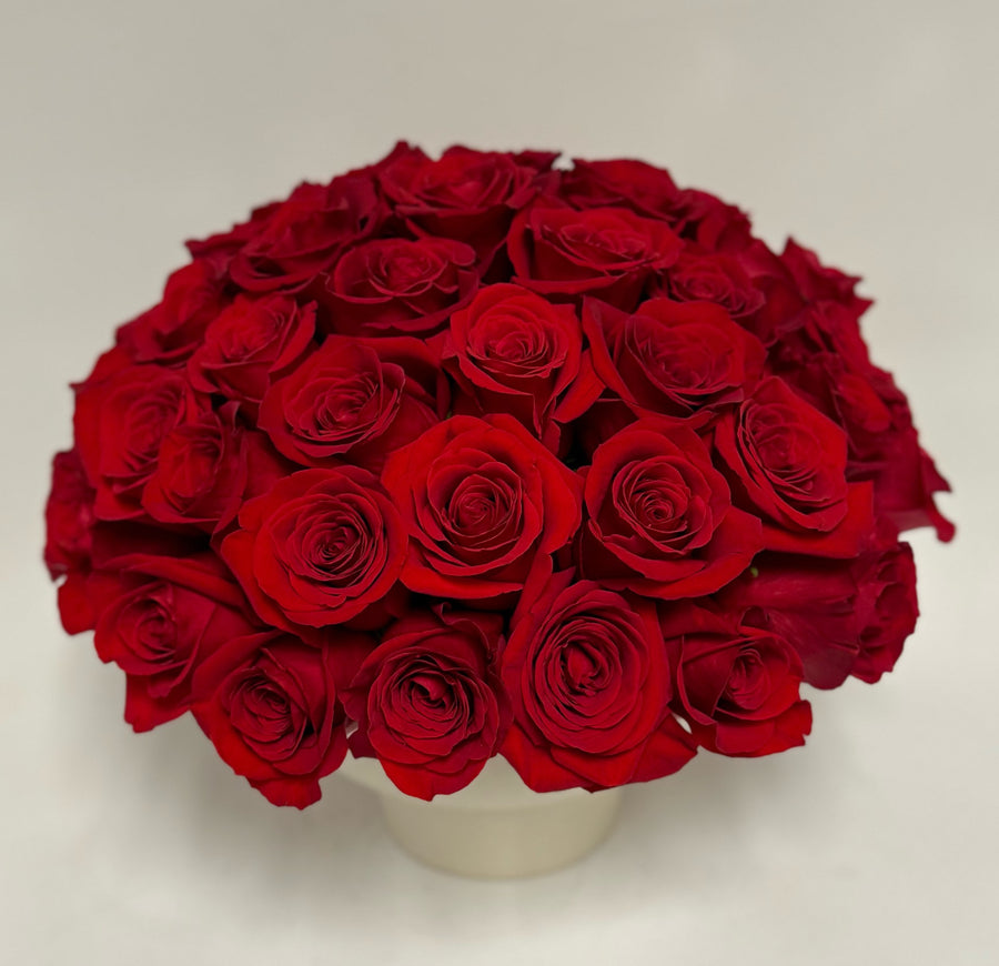 Simply Roses