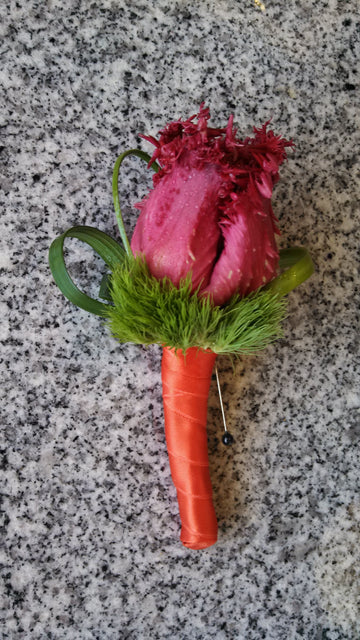 Boutonniere Tulip