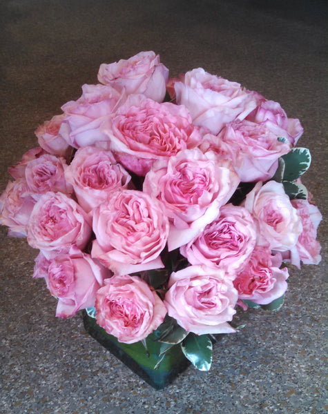 Garden Roses – Roger Beck Florist