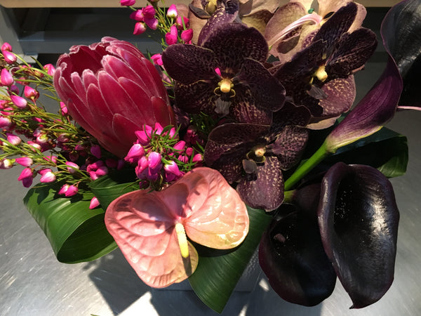 Midnight Magic – Roger Beck Florist