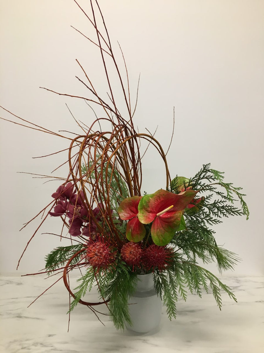 Tropics In Winter